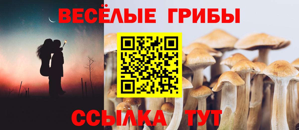 Галлюциногенные грибы Cubensis Ульяновск
