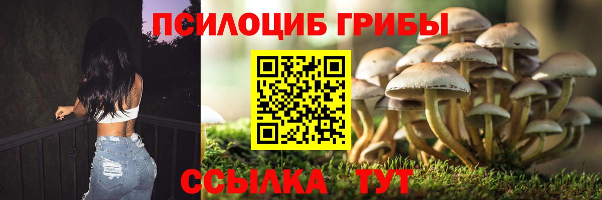 Псилоцибиновые грибы MAGIC MUSHROOMS  Галлюциногенные грибы мухоморы  Ульяновск  Вход с VPN 